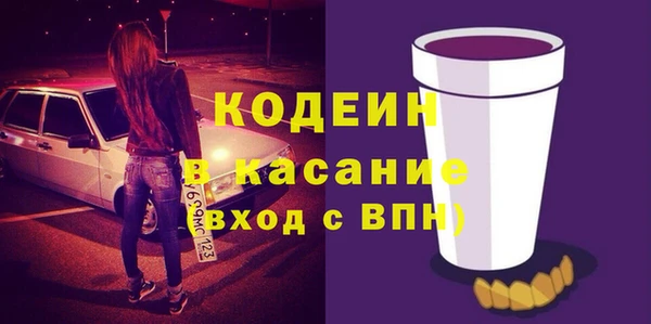 гидра Вязьма