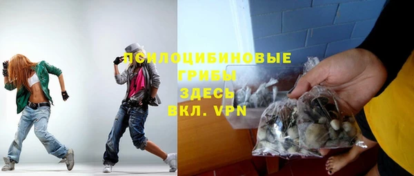 мет Няндома