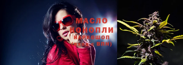 гидра Вязьма