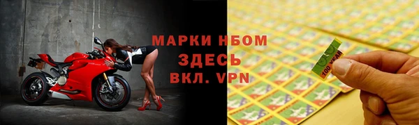 молекула духа Костерёво