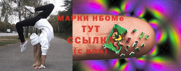 винт Гусь-Хрустальный