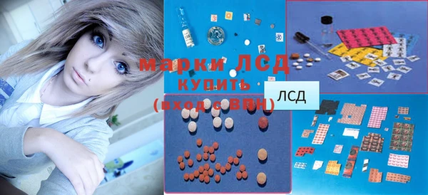 гидра Вязьма