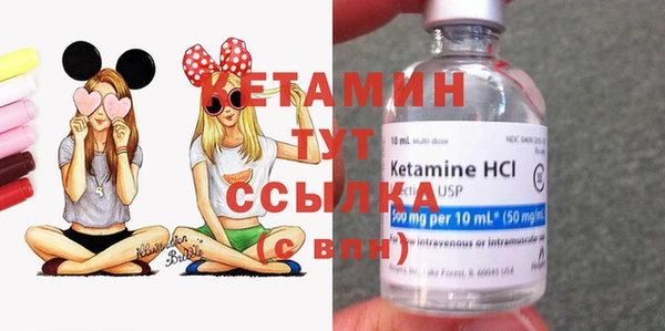ПСИЛОЦИБИНОВЫЕ ГРИБЫ Гусев